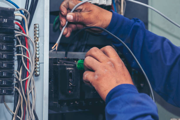 Best Local Electrician Companies  in Hybla Lley, VA